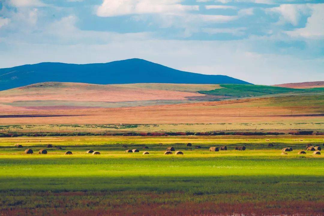 内蒙古,草原上的新闻脉搏