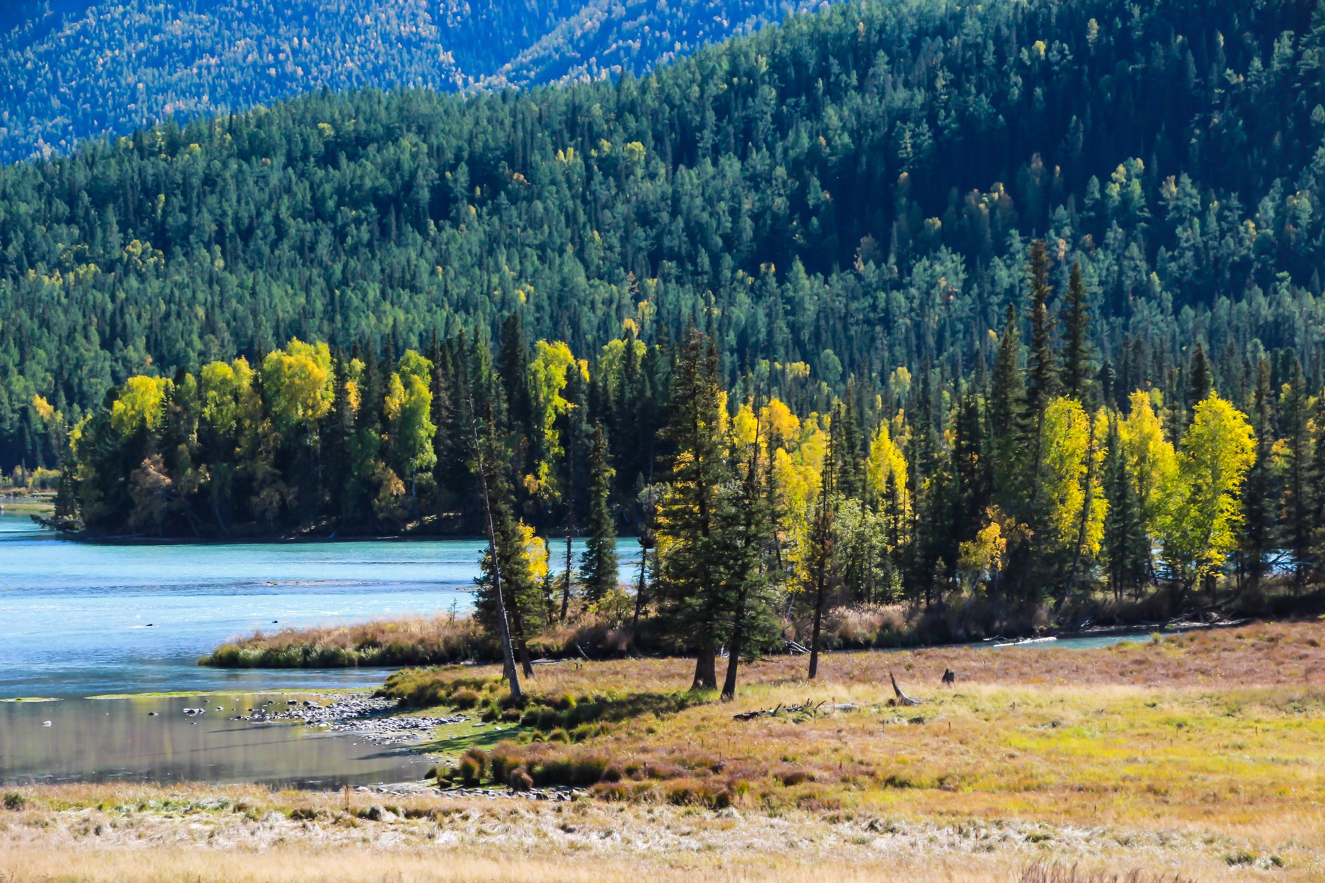 多元文化交融下的新疆地区发展研究