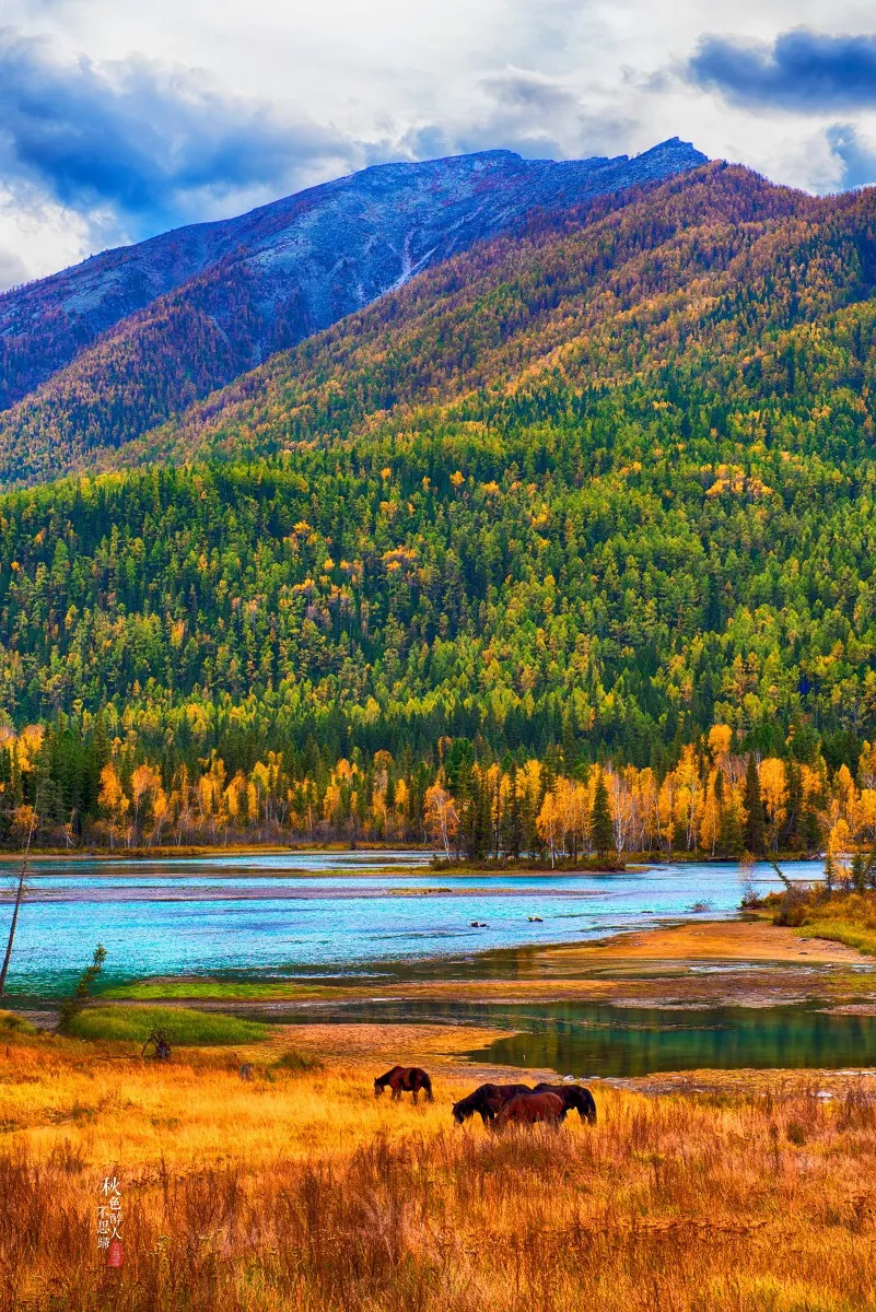 新疆深巷探幽，揭秘一家隐藏的特色小店