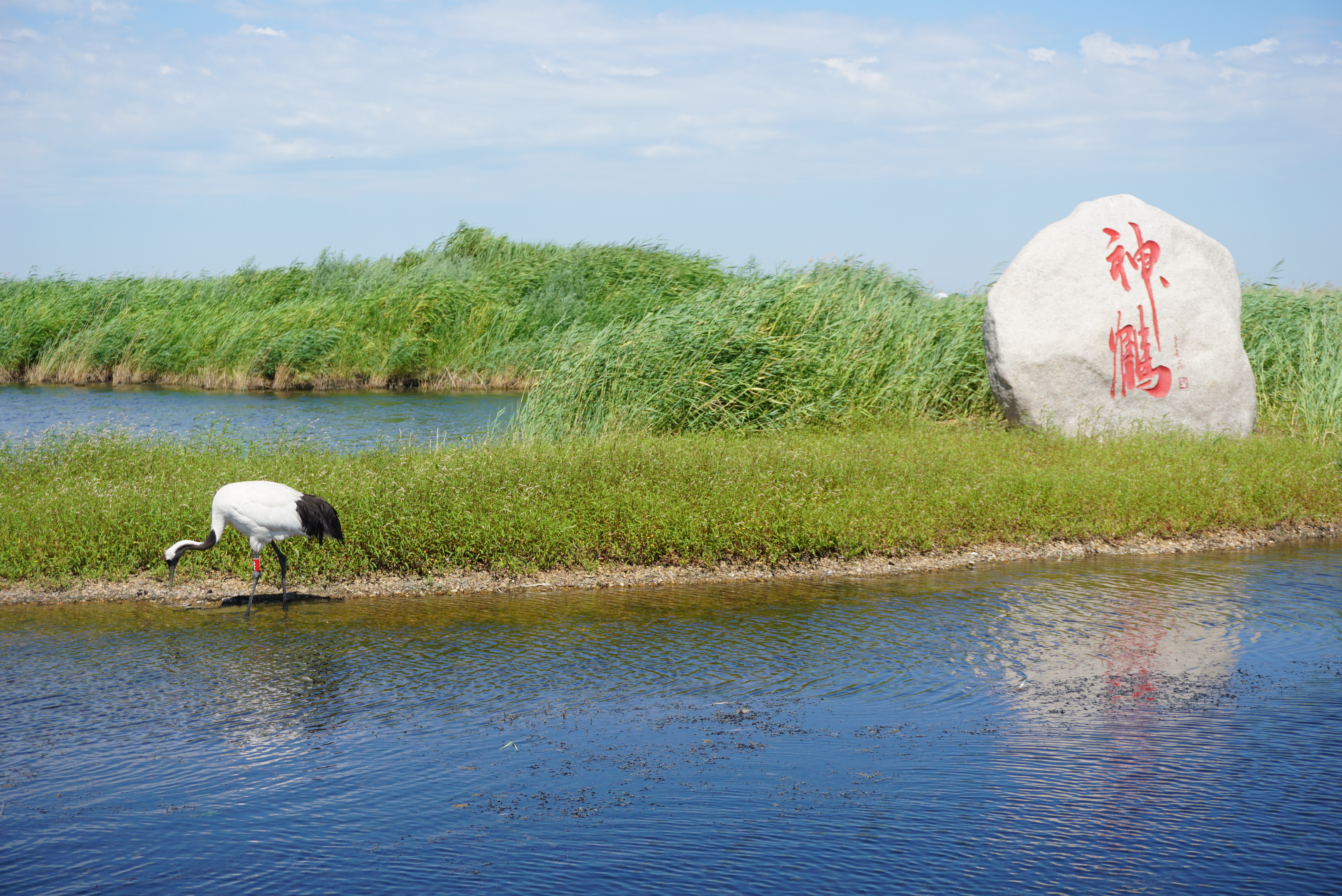 寻古韵运城,怀古之旅