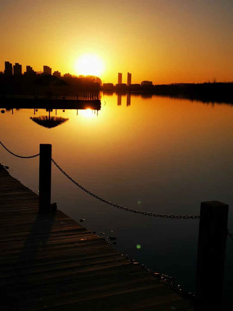 朝阳映照下的成长之路,我的大学生活之旅