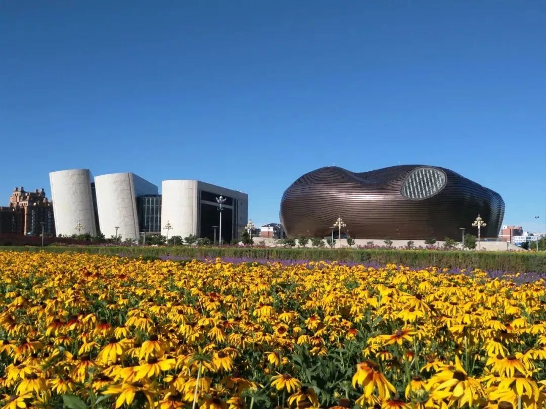 鄂尔多斯,揭秘经济奇迹背后的泡沫之谜